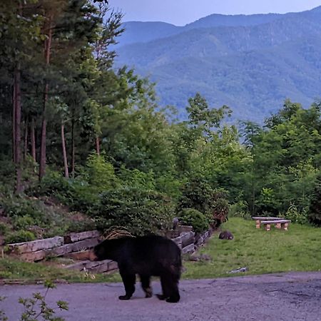 Real Log Cabin With Amazing Views, Hot Tub, Sauna, Games Gatlinburg Exterior foto