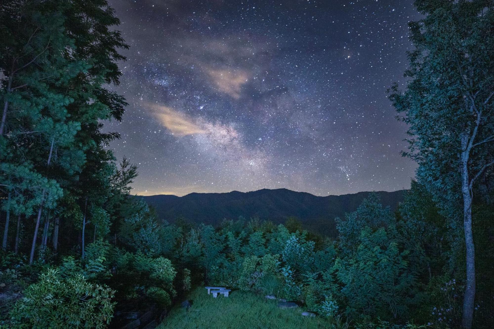 Real Log Cabin With Amazing Views, Hot Tub, Sauna, Games Gatlinburg Exterior foto